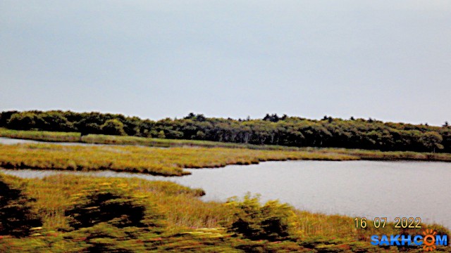 DSC00856