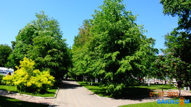 DSC00224
Сквер у театра.

Просмотров: 378
Комментариев: 0