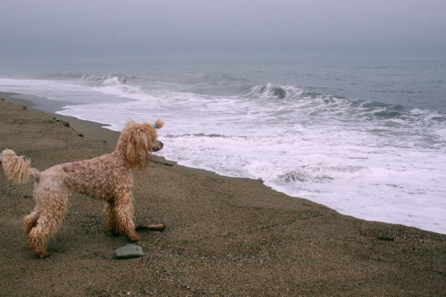 Копия IMG_9172

Просмотров: 2712
Комментариев: 0