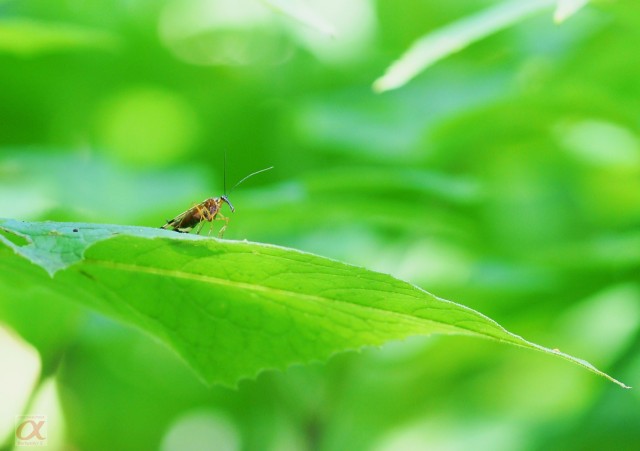 ***
Фотограф: Сергей Буркацкий

Просмотров: 630
Комментариев: 0