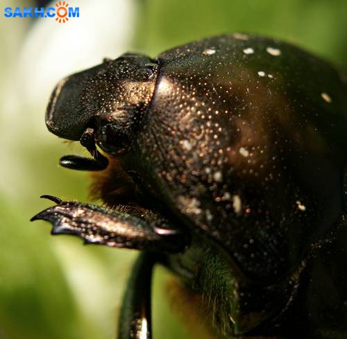 DSC05545
Фотограф: Сергей Буркацкий

Просмотров: 357
Комментариев: 0