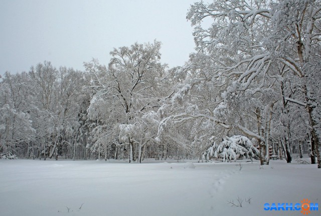 002-к

Просмотров: 583
Комментариев: 0