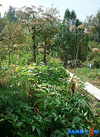 P1210743

Просмотров: 381
Комментариев: 0