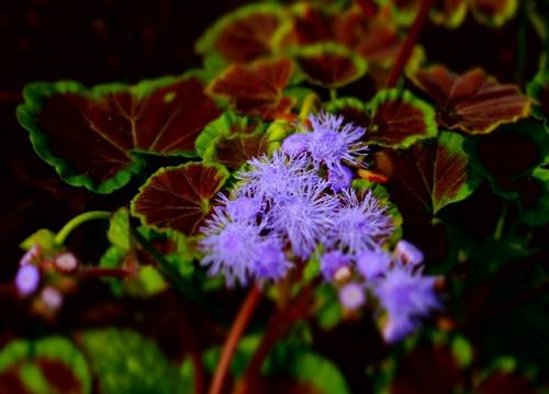 DSC03075
Фотограф: Сергей Буркацкий

Просмотров: 470
Комментариев: 0