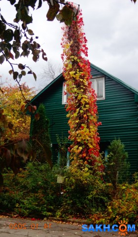 DSC08034

Просмотров: 525
Комментариев: 0