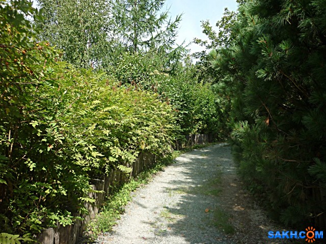 P1210789