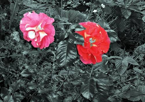 DSC00471
Фотограф: Сергей Буркацкий

Просмотров: 565
Комментариев: 0