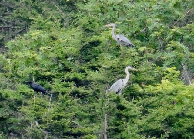 DSC04846
Фотограф: Сергей Буркацкий

Просмотров: 601
Комментариев: 0
