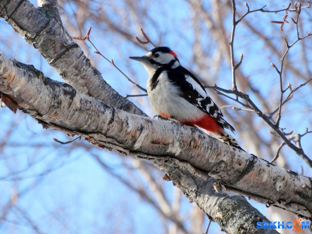 DSC02263

Просмотров: 575
Комментариев: 2