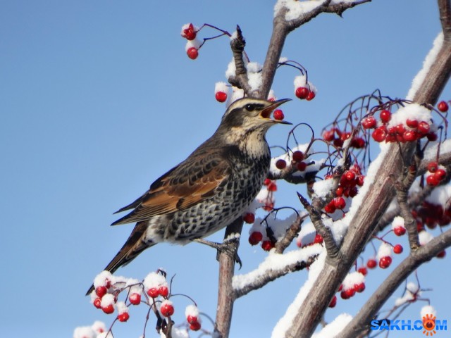 DSC08601_н

Просмотров: 592
Комментариев: 1