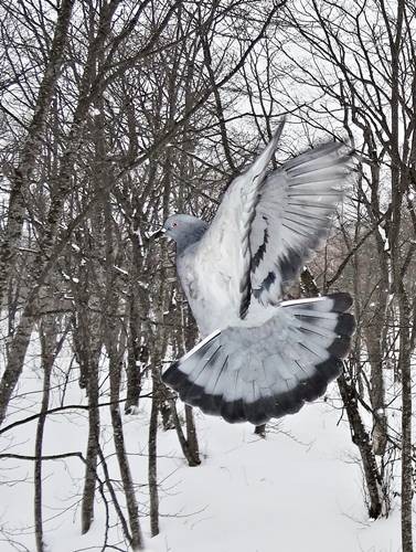 DSC00675
Фотограф: Сергей Буркацкий

Просмотров: 544
Комментариев: 1