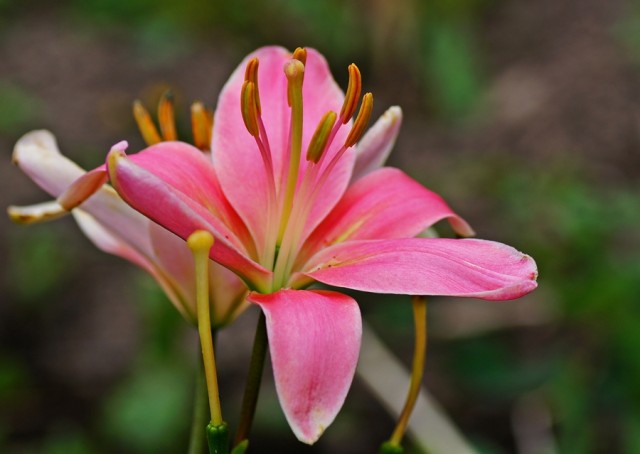 ***
Фотограф: Сергей Буркацкий

Просмотров: 624
Комментариев: 2