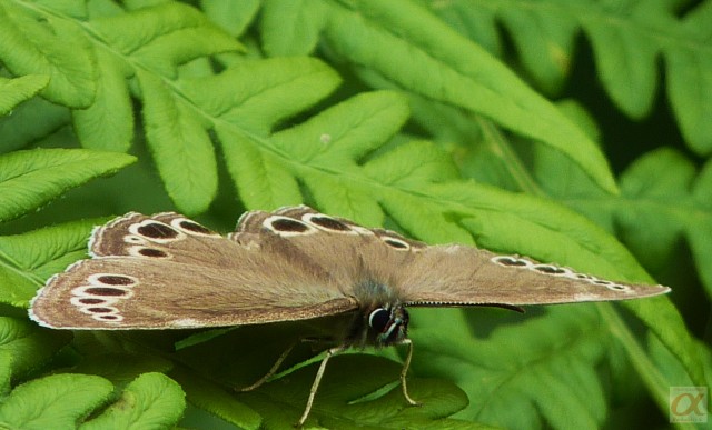 ***
Фотограф: Сергей Буркацкий

Просмотров: 682
Комментариев: 0