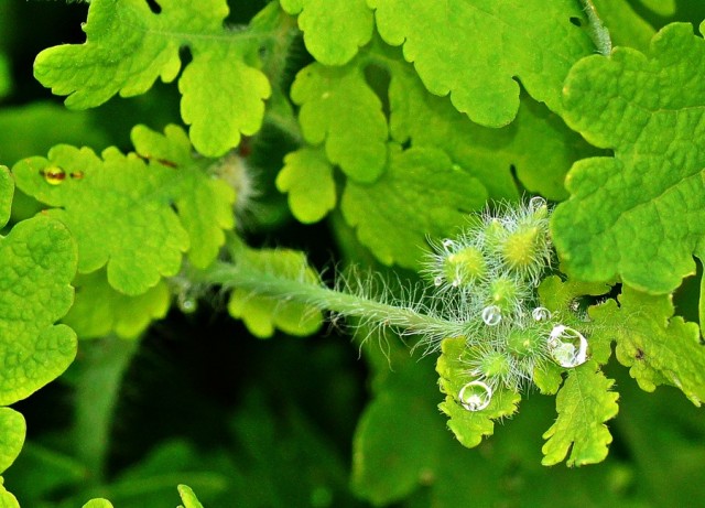 ***
Фотограф: Сергей Буркацкий

Просмотров: 565
Комментариев: 0