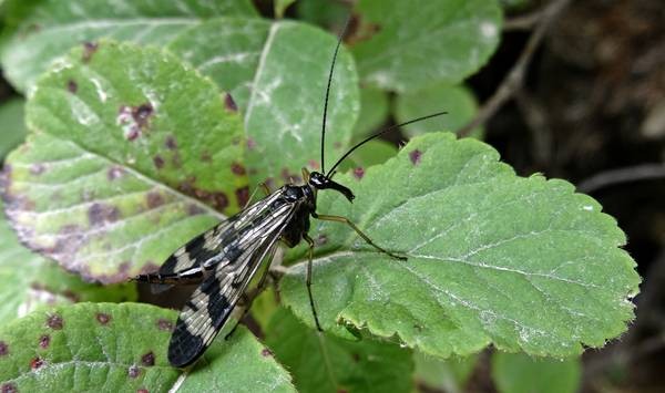 DSC00306
Фотограф: Сергей Буркацкий

Просмотров: 137
Комментариев: 0