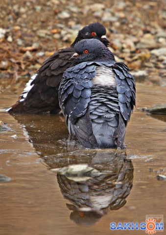 ***
Фотограф: Сергей Буркацкий

Просмотров: 1633
Комментариев: 0