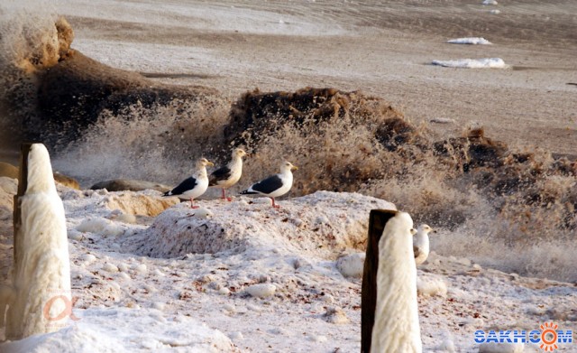 ***
Фотограф: Сергей Буркацкий

Просмотров: 2044
Комментариев: 0