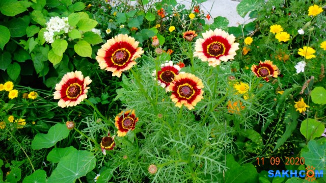 DSC06815

Просмотров: 842
Комментариев: 0