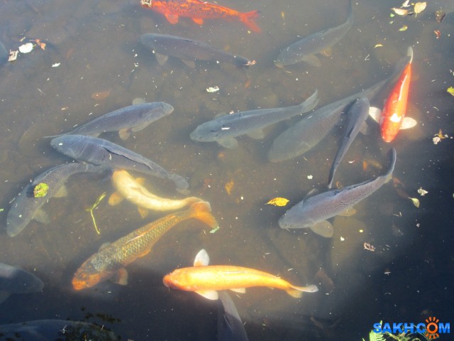 IMG_0518

Просмотров: 1002
Комментариев: 0