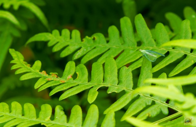 ***
Фотограф: Сергей Буркацкий

Просмотров: 858
Комментариев: 0