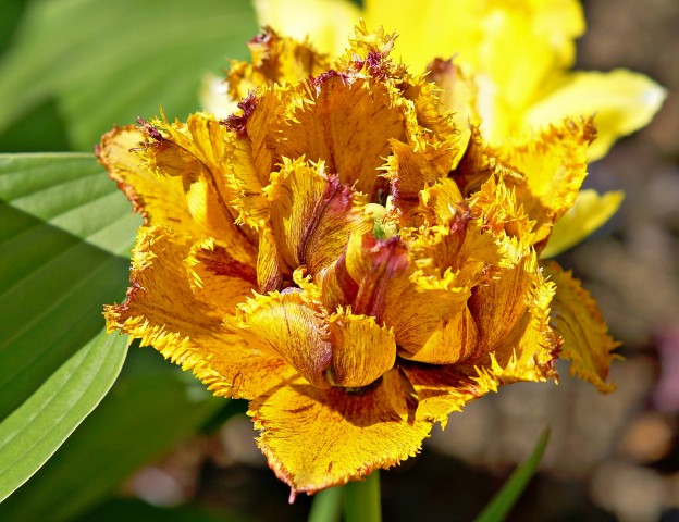 ***
Фотограф: Сергей Буркацкий

Просмотров: 893
Комментариев: 0