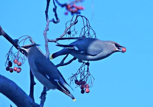 DSC03427
Фотограф: Сергей Буркацкий

Просмотров: 468
Комментариев: 0