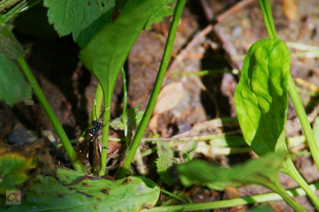 ***
Фотограф: Сергей Буркацкий

Просмотров: 649
Комментариев: 0