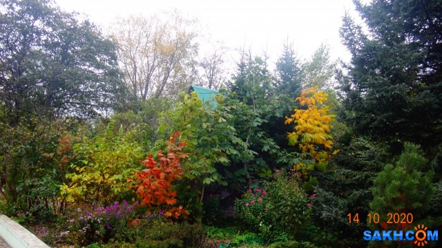 DSC08012

Просмотров: 427
Комментариев: 0