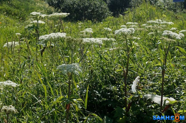 DSC09483
Фотограф: vikirin

Просмотров: 1603
Комментариев: 0