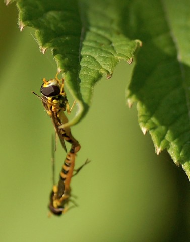 DSC00747
Фотограф: Сергей Буркацкий

Просмотров: 423
Комментариев: 0