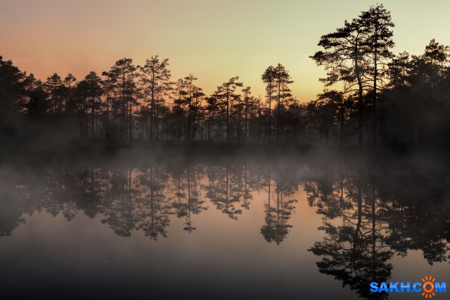 14

Просмотров: 204
Комментариев: 0