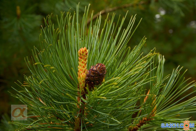 ***
Фотограф: Сергей Буркацкий

Просмотров: 997
Комментариев: 0