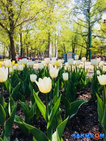 В парке...

Просмотров: 864
Комментариев: 0