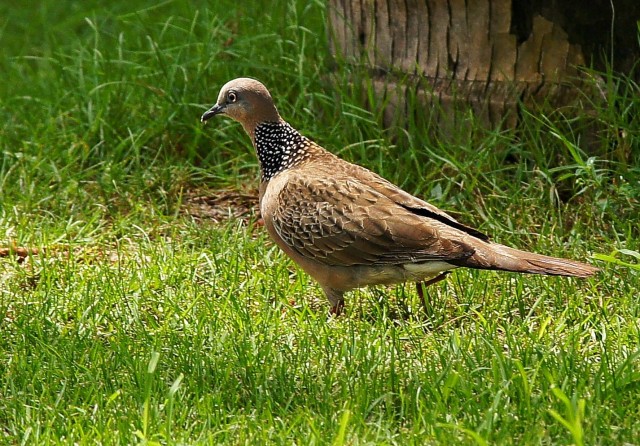 ***
Фотограф: Сергей Буркацкий

Просмотров: 435
Комментариев: 0
