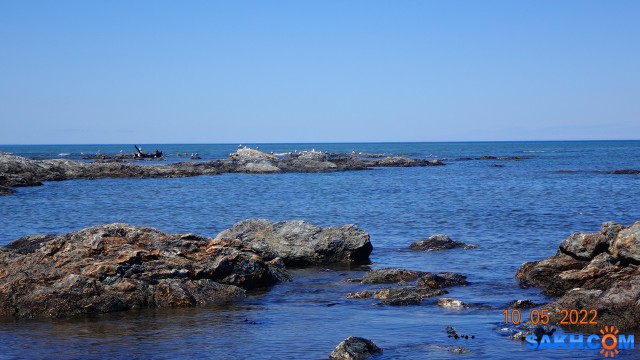 DSC09215