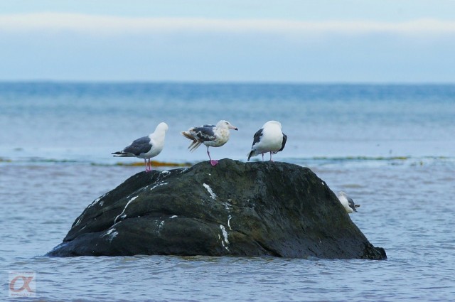 ***
Фотограф: Сергей Буркацкий

Просмотров: 1407
Комментариев: 0
