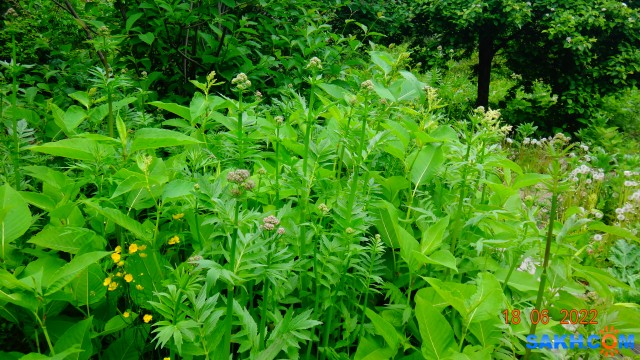 DSC09916

Просмотров: 319
Комментариев: 0