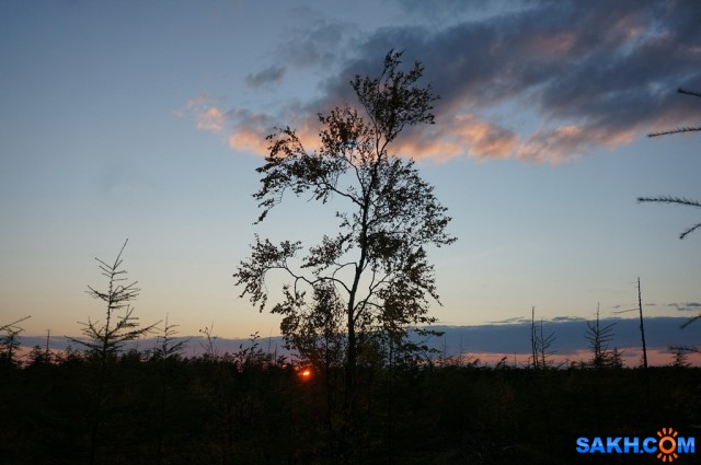 На закате..
Фотограф: vikirin

Просмотров: 1111
Комментариев: 0