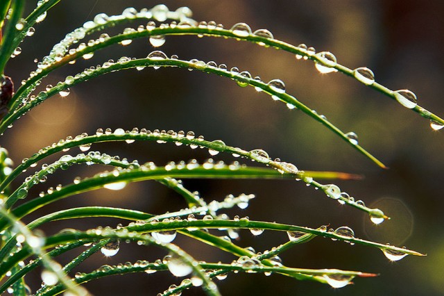 Утро.

Просмотров: 680
Комментариев: 3