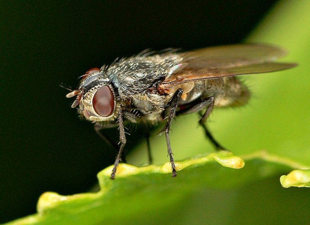 ***
Фотограф: Сергей Буркацкий

Просмотров: 938
Комментариев: 0
