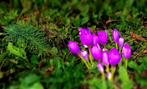 thumb_DSC04257_1024
Фотограф: Сергей Буркацкий

Просмотров: 562
Комментариев: 0