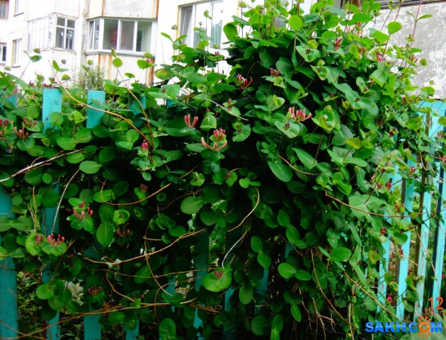 DSC08667-1

Просмотров: 698
Комментариев: 0