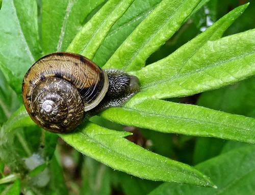 DSC00286
Фотограф: Сергей Буркацкий

Просмотров: 170
Комментариев: 0