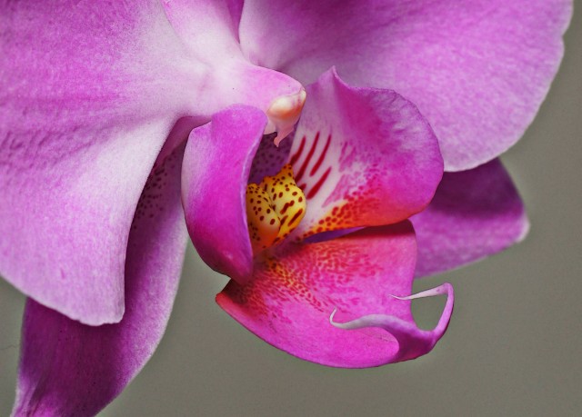 ***
Фотограф: Сергей Буркацкий

Просмотров: 939
Комментариев: 1