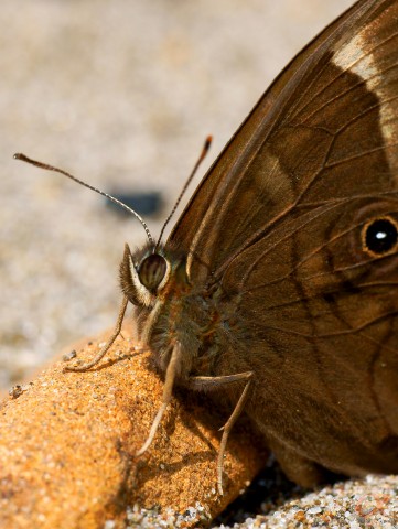 ***
Фотограф: Сергей Буркацкий

Просмотров: 716
Комментариев: 0