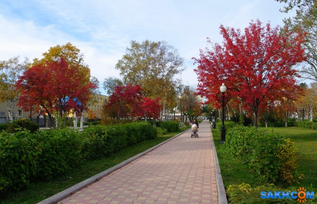 119 -к

Просмотров: 673
Комментариев: 0