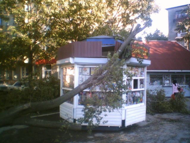 Последствия тайфуна Наби
Фотограф: АС-2й
Упала ветка на киоск

Просмотров: 1518
Комментариев: 0