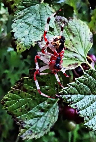 DSC00863
Фотограф: Сергей Буркацкий

Просмотров: 703
Комментариев: 0