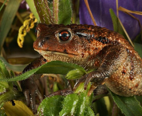 DSC02025
Фотограф: Сергей Буркацкий

Просмотров: 442
Комментариев: 0