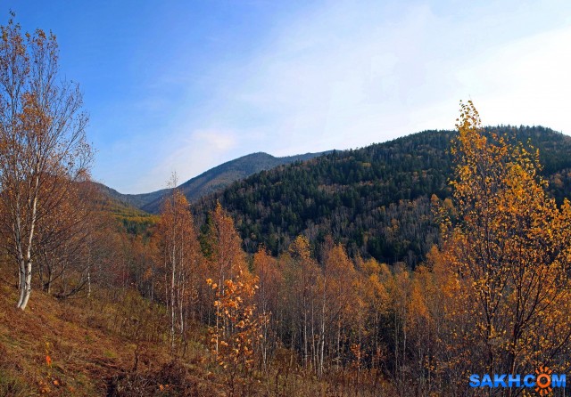 052-пан-к

Просмотров: 484
Комментариев: 0